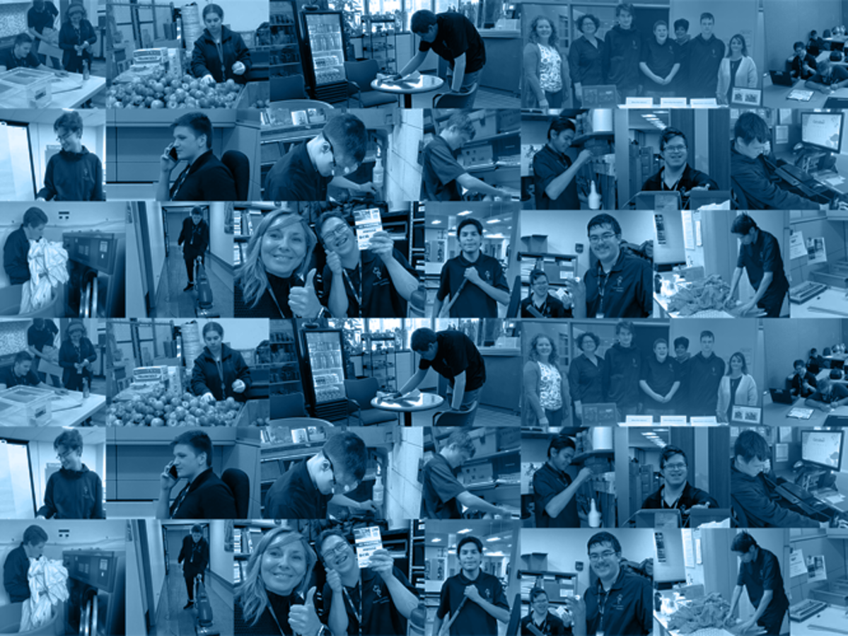 Project Search Hamilton Banner